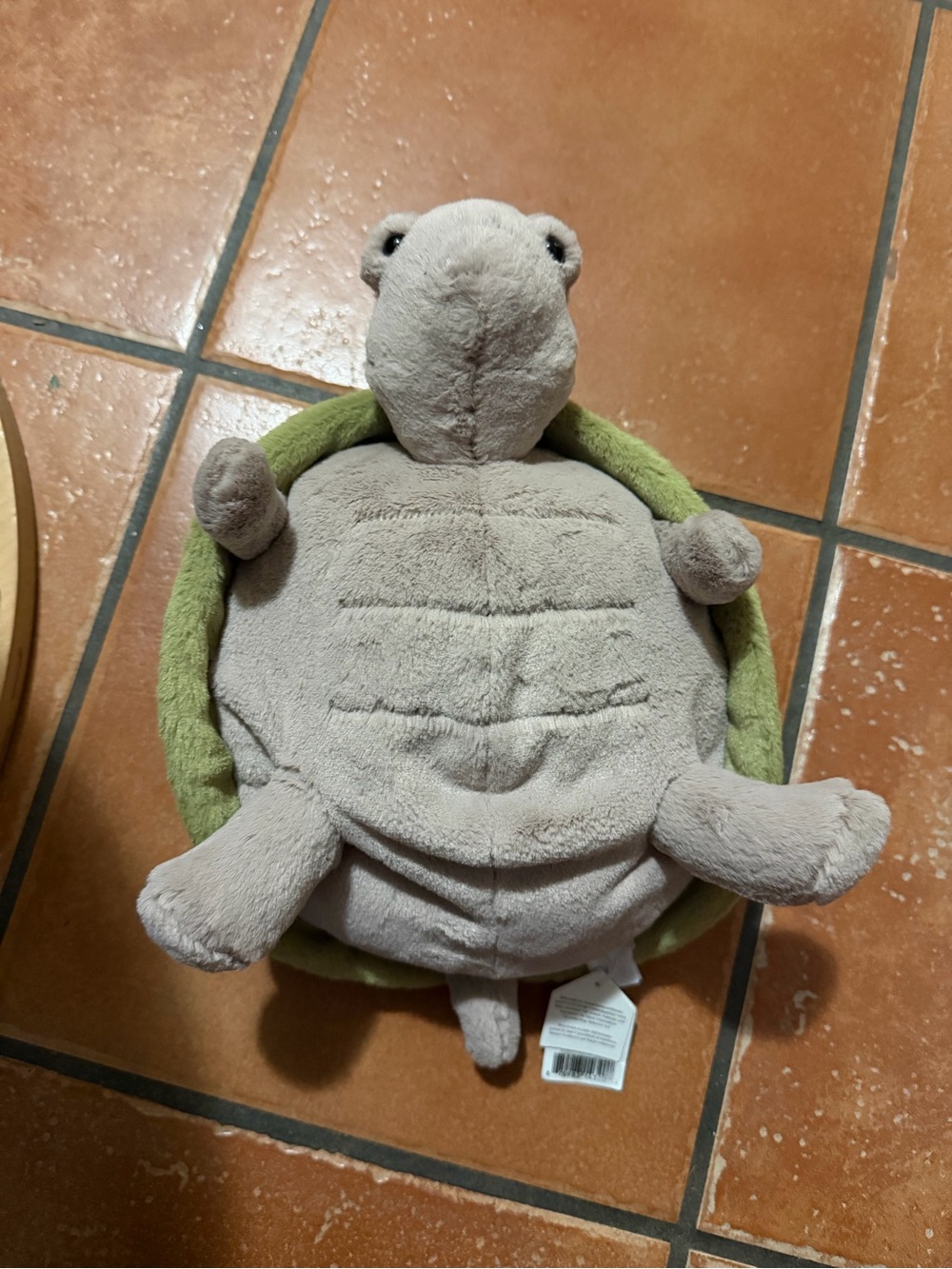 Timmy Turtle NWT